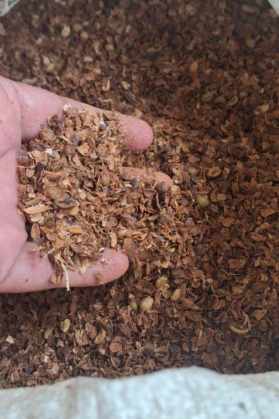 WhatsApp Image 2025-11-27 at 14.52.23